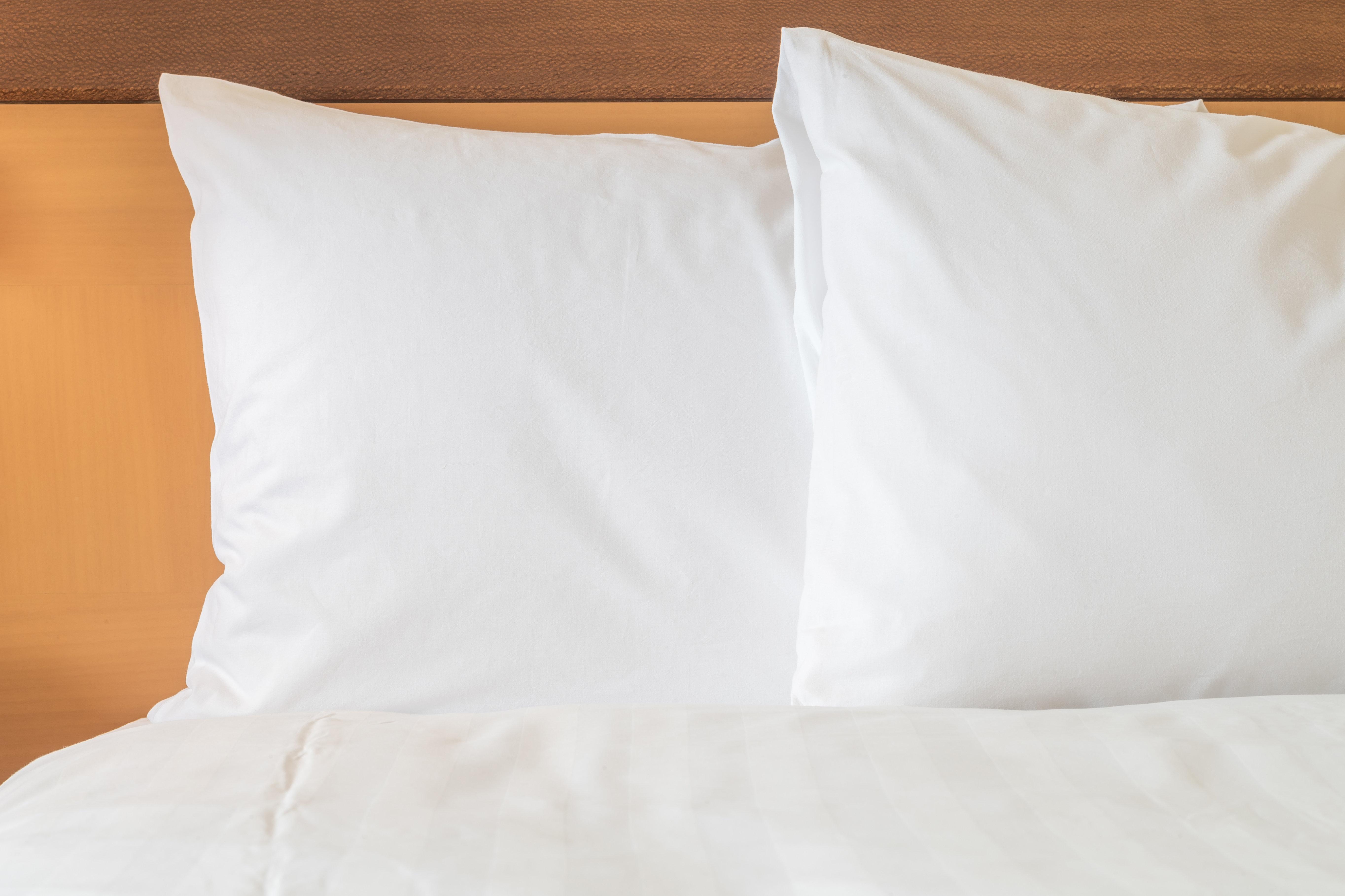 Holiday Inn Express Hotel & Suites Chatham South By Ihg Exteriér fotografie